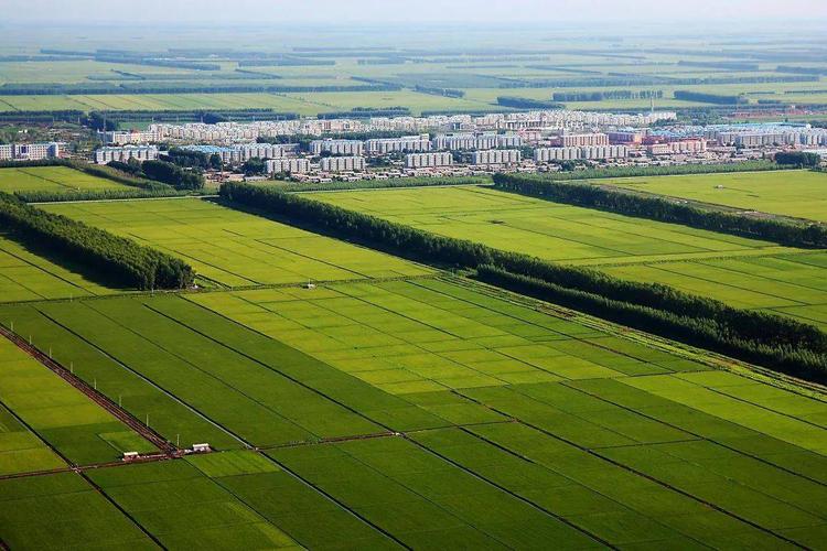 三江平原什么时候春耕?黑龙江省富锦市今天多少温度-图3 三江平原什么时候春耕?黑龙江省富锦市今天多少温度-图3