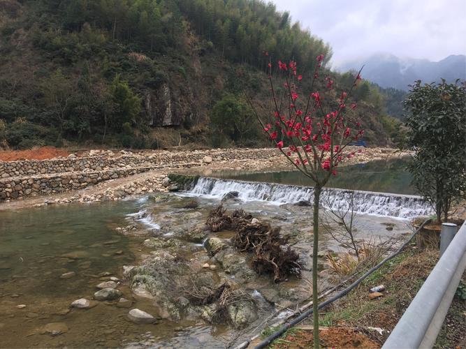 牙梳山主要景观?黄岩宁溪最低气温多少-图1 牙梳山主要景观?黄岩宁溪最低气温多少-图1
