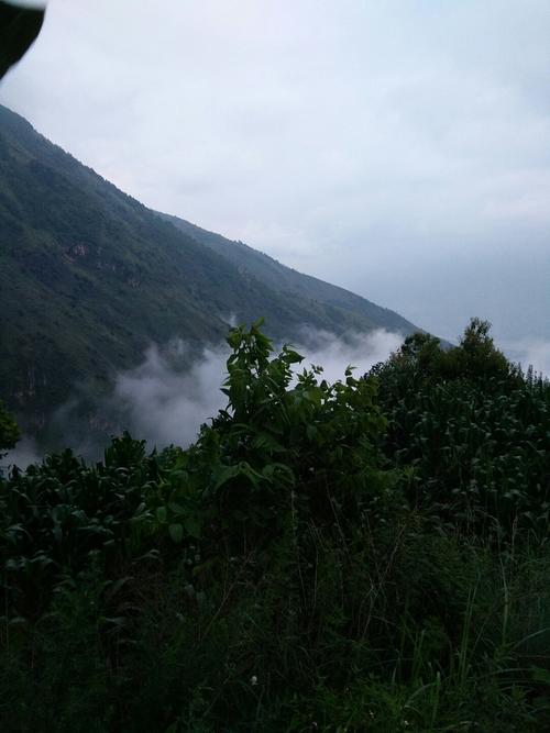 云南巧家县海拔高度多少?昭通巧家县气温有多少度-图3 云南巧家县海拔高度多少?昭通巧家县气温有多少度-图3