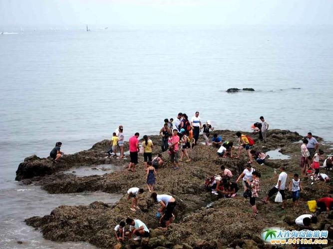 岚山区赶海攻略?岚山明天的天气多少度-图3 岚山区赶海攻略?岚山明天的天气多少度-图3