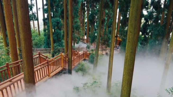 洪雅夏天复兴村凉快还是七里坪凉快?洪雅今天气温有多少度-图2 洪雅夏天复兴村凉快还是七里坪凉快?洪雅今天气温有多少度-图2
