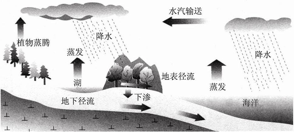 为什么有时蒸发强降水少?降水多少为稀少-图3 为什么有时蒸发强降水少?降水多少为稀少-图3