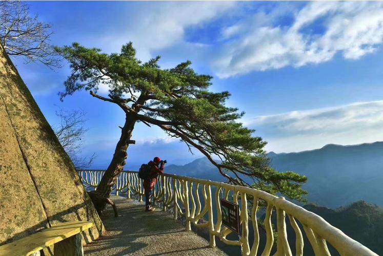 江津凤凰山海拔是多少?凤凰山顶温度多少度-图1 江津凤凰山海拔是多少?凤凰山顶温度多少度-图1