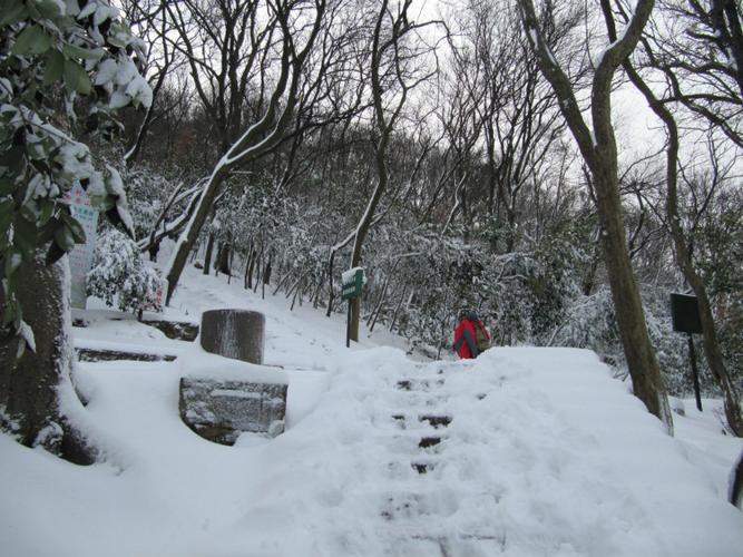 紫金山山顶冷吗?石城的冬季最低温度是多少-图2 紫金山山顶冷吗?石城的冬季最低温度是多少-图2