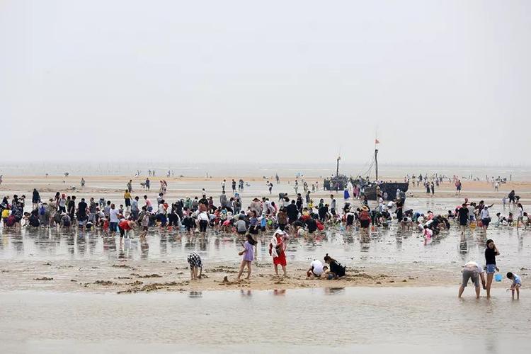 7月底北戴河赶海的最佳地点和时间?黄金海岸7月多少度-图2 7月底北戴河赶海的最佳地点和时间?黄金海岸7月多少度-图2