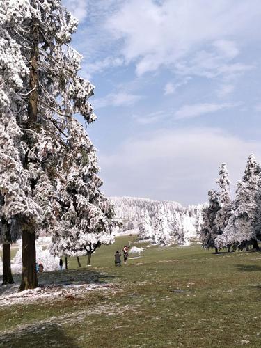武隆仙女山好久下雪啊?武隆仙女山镇温度是多少-图1 武隆仙女山好久下雪啊?武隆仙女山镇温度是多少-图1
