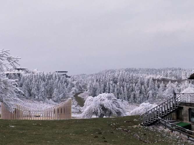 武隆仙女山好久下雪啊?武隆仙女山镇温度是多少-图3 武隆仙女山好久下雪啊?武隆仙女山镇温度是多少-图3