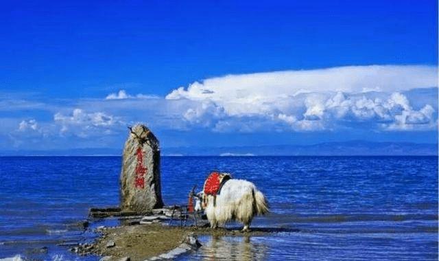 十一适合去青海吗?十一青海温度是多少钱-图1 十一适合去青海吗?十一青海温度是多少钱-图1