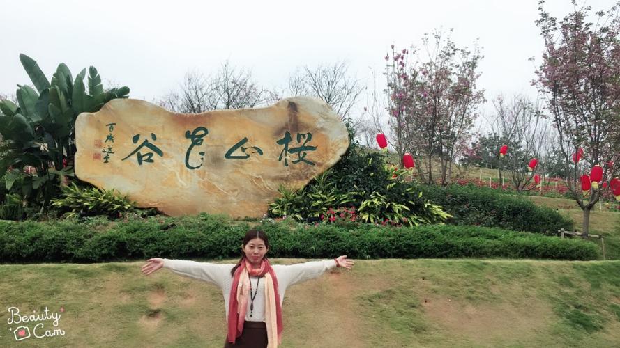 揭西樱花山谷几月份最好?广东揭西的天气应该是多少度-图2 揭西樱花山谷几月份最好?广东揭西的天气应该是多少度-图2