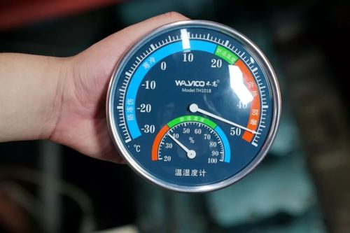 浙江省三大火炉?衢州市今年最高温度多少度-图3 浙江省三大火炉?衢州市今年最高温度多少度-图3