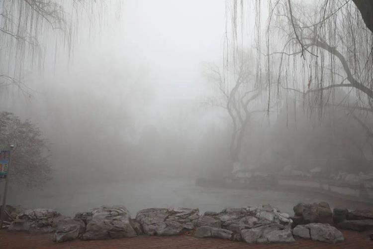 多少度说话没雾气?说话能看到雾气大概多少度-图1 多少度说话没雾气?说话能看到雾气大概多少度-图1