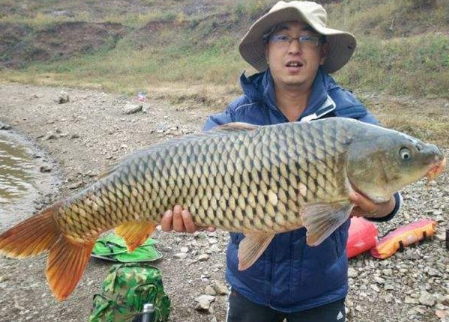 气温10度还能钓鲤鱼吗?天气温度10度水底温度多少-图2 气温10度还能钓鲤鱼吗?天气温度10度水底温度多少-图2