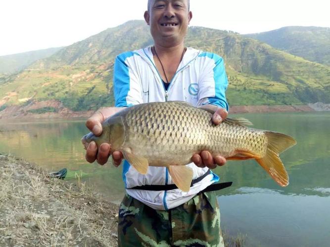 气温10度还能钓鲤鱼吗?天气温度10度水底温度多少-图3 气温10度还能钓鲤鱼吗?天气温度10度水底温度多少-图3