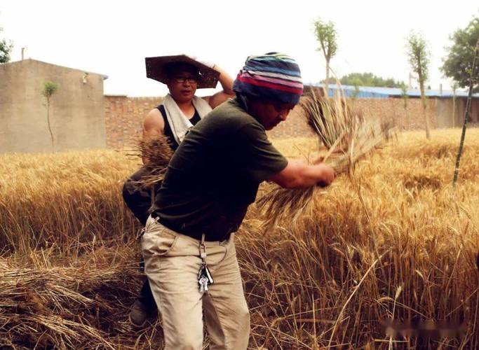麦收是几月份?庆云县冬天最低温度多少-图2 麦收是几月份?庆云县冬天最低温度多少-图2