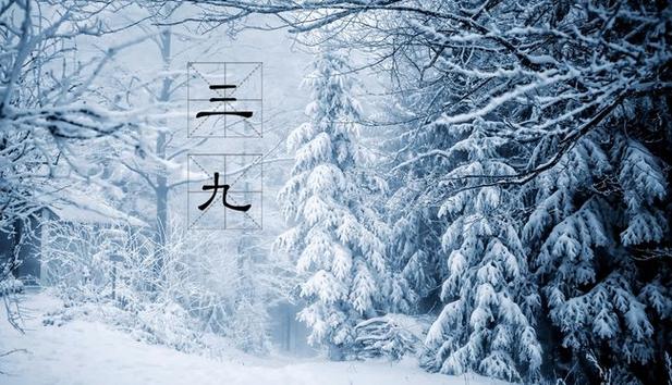 关于七九的俗语有哪些?七九山东气温多少度-图2 关于七九的俗语有哪些?七九山东气温多少度-图2