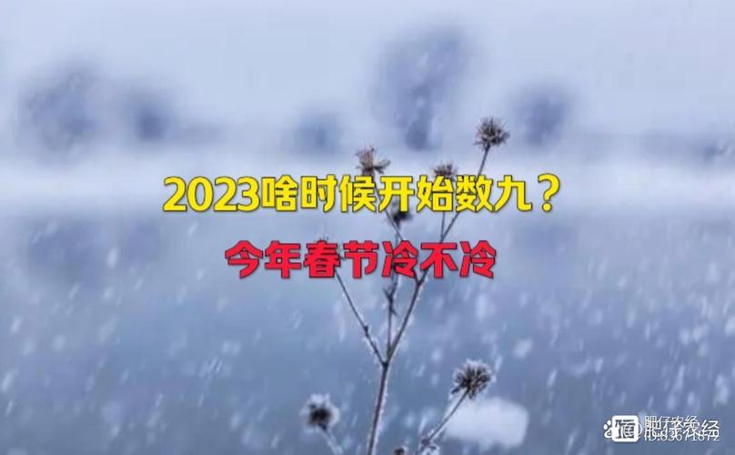 21年春节冷不冷?过年时平均温度多少-图3 21年春节冷不冷?过年时平均温度多少-图3
