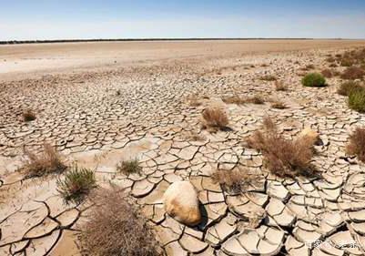 土地荒漠化每年给地球造成经济损失,怎样解决?地球一年沙漠化多少-图1 土地荒漠化每年给地球造成经济损失,怎样解决?地球一年沙漠化多少-图1