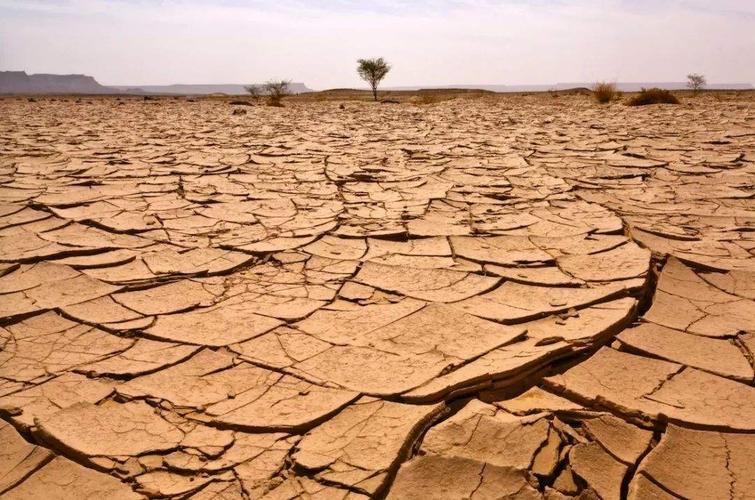 土地荒漠化每年给地球造成经济损失,怎样解决?地球一年沙漠化多少-图3 土地荒漠化每年给地球造成经济损失,怎样解决?地球一年沙漠化多少-图3