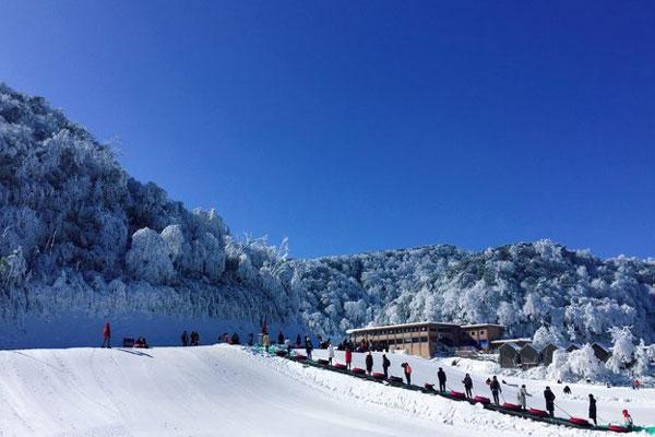金佛山滑雪怎么收费?金佛山滑雪多少岁-图1 金佛山滑雪怎么收费?金佛山滑雪多少岁-图1