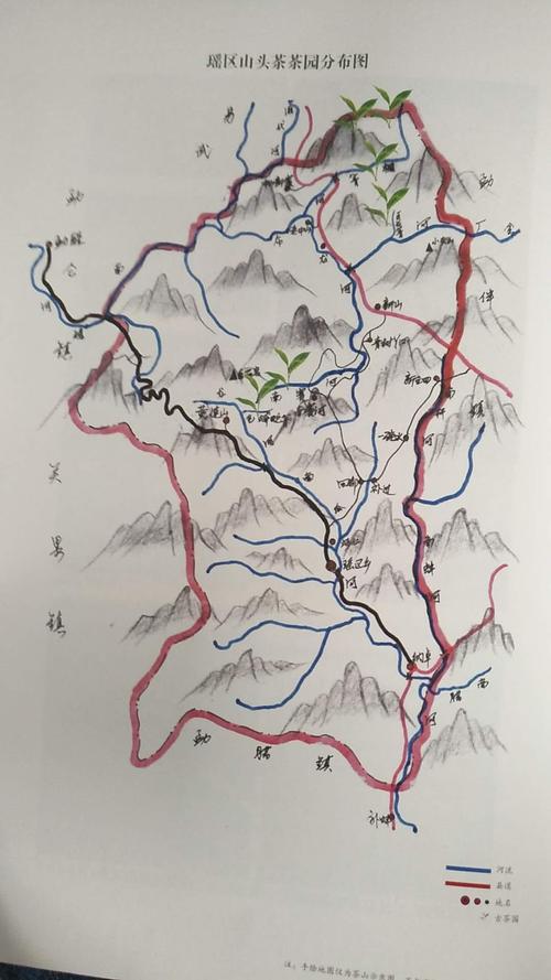 易武茶区有哪些山头?瑶区乡多少个村-图2 易武茶区有哪些山头?瑶区乡多少个村-图2