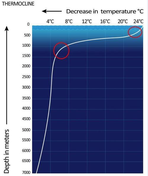 不同深度的海水温度不同吗?海水比陆地温度低多少-图3 不同深度的海水温度不同吗?海水比陆地温度低多少-图3