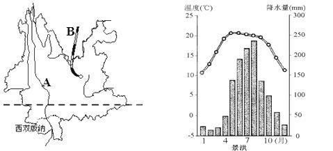 西双版纳春节气温?景洪过年气温多少-图2 西双版纳春节气温?景洪过年气温多少-图2