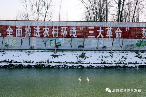泗县有什么特产?从泗县打车到草沟镇要多少钱-图3 泗县有什么特产?从泗县打车到草沟镇要多少钱-图3