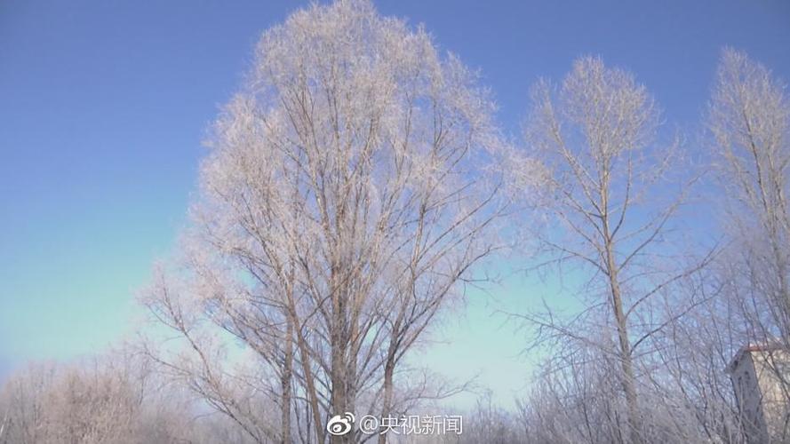 辽宁最冷的地方?开原每年冬天最冷多少度-图2 辽宁最冷的地方?开原每年冬天最冷多少度-图2