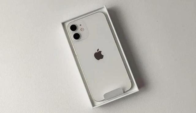 4500买的苹果12mini252值吗?iphone十二mini多少钱-图3 4500买的苹果12mini252值吗?iphone十二mini多少钱-图3