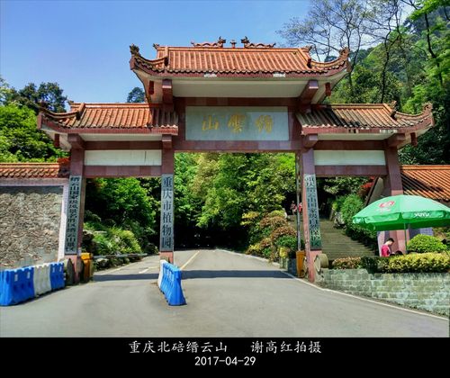重庆北碚旅游景点推荐?重庆北碚歇马海拔多少米-图1 重庆北碚旅游景点推荐?重庆北碚歇马海拔多少米-图1
