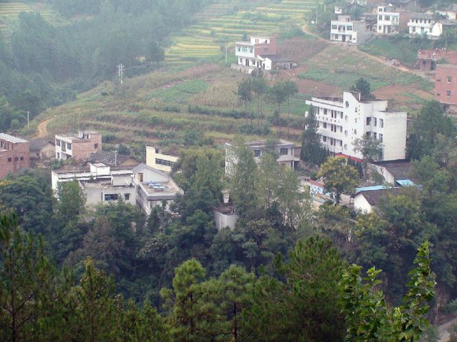 奉节县城区面积多少平方公里？重庆市奉节甲高镇海拔多少-图2
