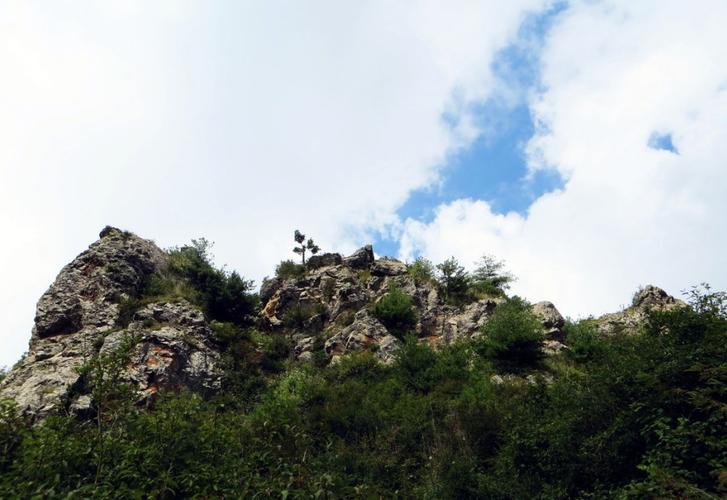 世界上有首阳山吗?渭源莲峰镇多少人-图3 世界上有首阳山吗?渭源莲峰镇多少人-图3