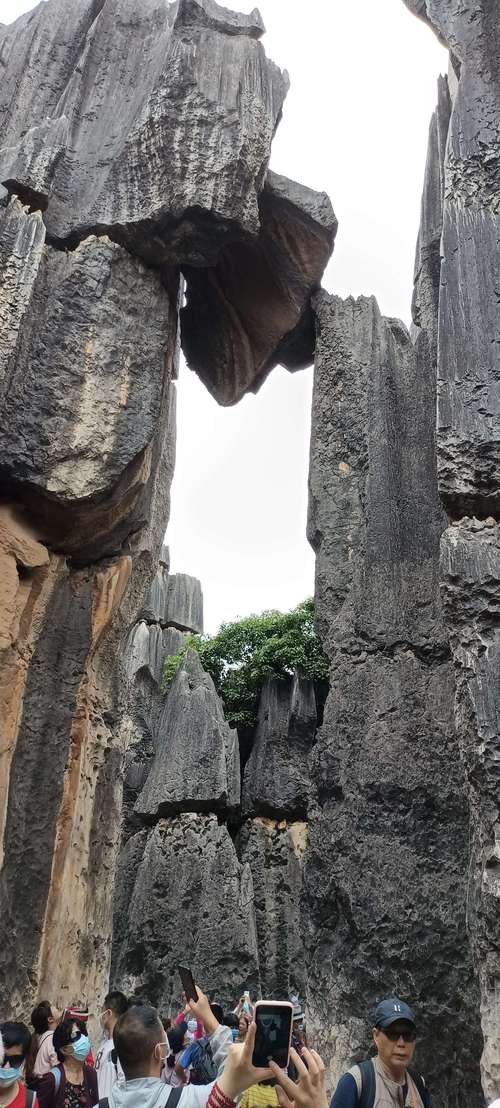 石林夏天的湿度很高吗?昆明石林海拔高度多少米-图2 石林夏天的湿度很高吗?昆明石林海拔高度多少米-图2