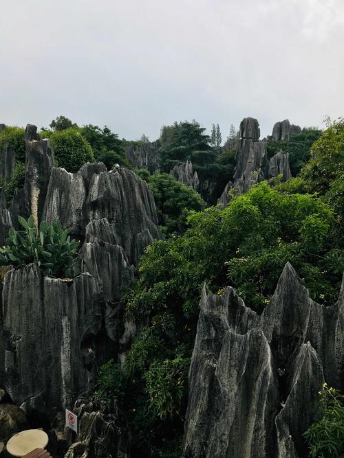 石林夏天的湿度很高吗?昆明石林海拔高度多少米-图3 石林夏天的湿度很高吗?昆明石林海拔高度多少米-图3