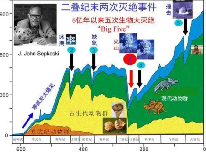 三叠纪初期大陆为什么干燥炎热?二叠纪气温升高多少-图1 三叠纪初期大陆为什么干燥炎热?二叠纪气温升高多少-图1