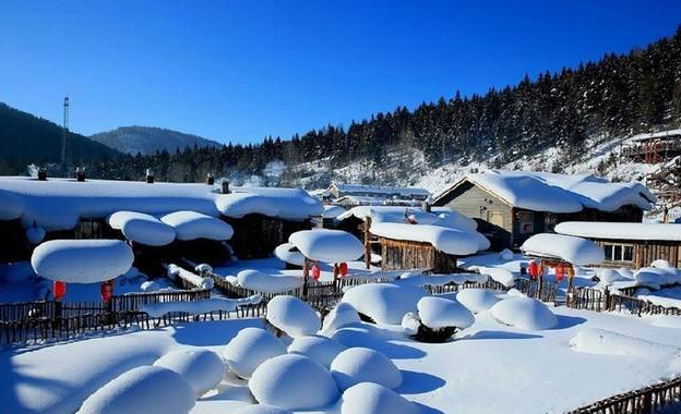 哈尔滨周边有哪些城市?雪乡离绥化多少公里-图1 哈尔滨周边有哪些城市?雪乡离绥化多少公里-图1