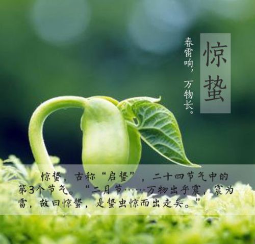 北方植树节时气温怎样?河北惊蛰气温一般多少度-图1 北方植树节时气温怎样?河北惊蛰气温一般多少度-图1