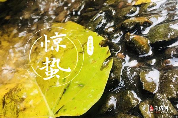 三月惊蛰种什么菜?上海惊蛰气温一般多少度-图1 三月惊蛰种什么菜?上海惊蛰气温一般多少度-图1