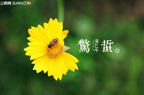 三月惊蛰种什么菜?上海惊蛰气温一般多少度-图2 三月惊蛰种什么菜?上海惊蛰气温一般多少度-图2