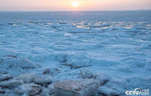 海水会结冰吗?海水达到多少度才能结冰-图2 海水会结冰吗?海水达到多少度才能结冰-图2
