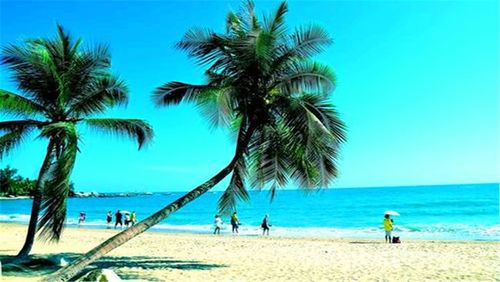 海南岛的冬天冷吗?海南的冬天是多少度-图1 海南岛的冬天冷吗?海南的冬天是多少度-图1