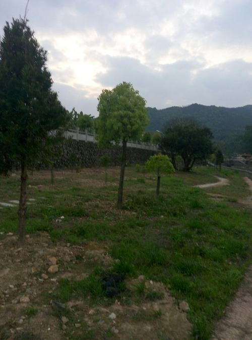 福建省福州市罗源县西兰乡上洋村邮编是什么?鉴江区罗源多少钱-图1 福建省福州市罗源县西兰乡上洋村邮编是什么?鉴江区罗源多少钱-图1
