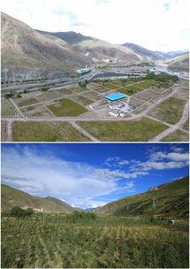 玉树有高原反应吗?玉树的气候和西宁相差多少-图2 玉树有高原反应吗?玉树的气候和西宁相差多少-图2