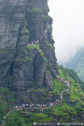 梵净山门票提前多少天可买?贵州梵净山7天多少钱-图3 梵净山门票提前多少天可买?贵州梵净山7天多少钱-图3