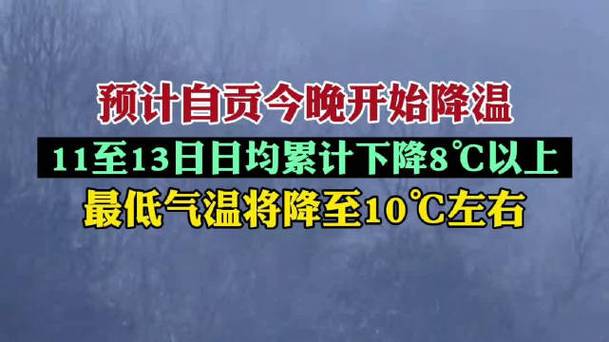自贡的冬天有什么特点?自贡2019年最低气温多少-图3 自贡的冬天有什么特点?自贡2019年最低气温多少-图3