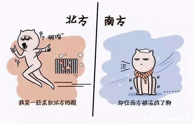 为什么南北方同样的温度南方更冷?南北方相差多少温度-图1 为什么南北方同样的温度南方更冷?南北方相差多少温度-图1