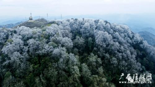 金钟山海拔多少?广西隆林第一海拔有多少米-图3 金钟山海拔多少?广西隆林第一海拔有多少米-图3