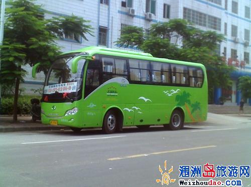 北海到博白多少公里?博白到沙河大巴多少钱-图3 北海到博白多少公里?博白到沙河大巴多少钱-图3