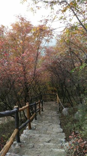 沂源县有什么好玩的吗?思南县张家寨镇海拔多少米-图3 沂源县有什么好玩的吗?思南县张家寨镇海拔多少米-图3