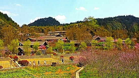 贵州正安桃花源景区海拔?正安县政府海拔高度多少米-图2 贵州正安桃花源景区海拔?正安县政府海拔高度多少米-图2